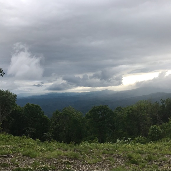 Meet your Posher, Haley - Picture 1 of 1